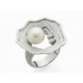 ANILLO MAR