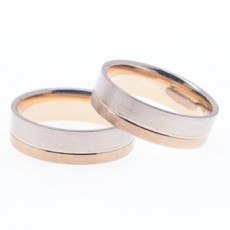 ALIANZAS DUAL