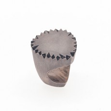 ANILLO PIC