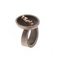 ANILLO SEED