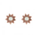 PENDIENTES SUNFIELD SOL CALCEDONIA