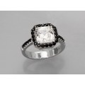 ANILLO WEBSTER