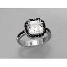 ANILLO WEBSTER
