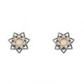 PENDIENTES SUNFIELD ESTRELLA ROSA 