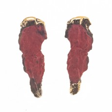 PENDIENTES EROSIONES ROJO