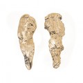 PENDIENTES EROSIONES ORO