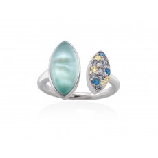 ANILLO HIDRA
