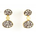 PENDIENTES LINX 