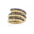ANILLO COIN