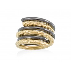 ANILLO COIN