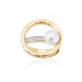 ANILLO NIKO