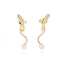 PENDIENTES SEIDAI