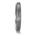 ANILLO TENO TANTALIO
