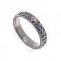 ANILLO HOLE