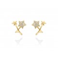 PENDIENTES ARA