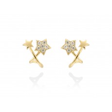 PENDIENTES ARA