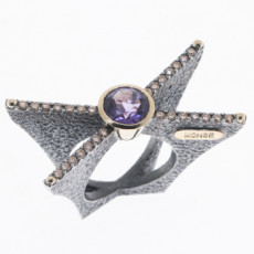 ANILLO CROSS I