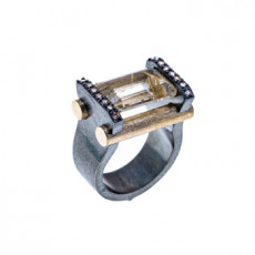 ANILLO PARALLELI