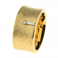ANILLO ERNSTES