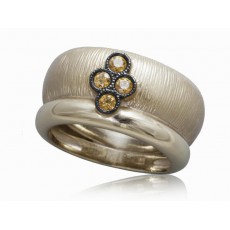 ANILLO NIZA
